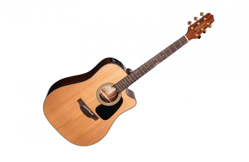 Takamine Pro Selected