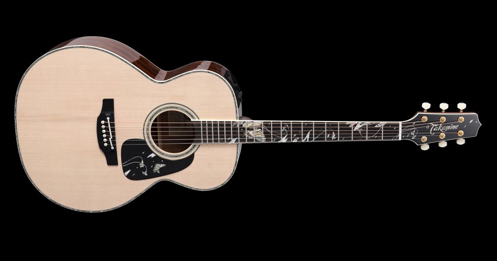 Takamine Ltd 2018