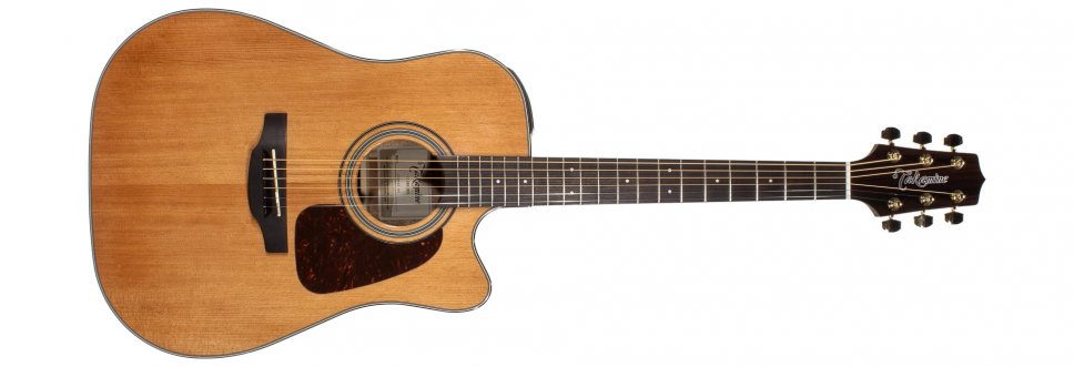 Takamine G Selected Series