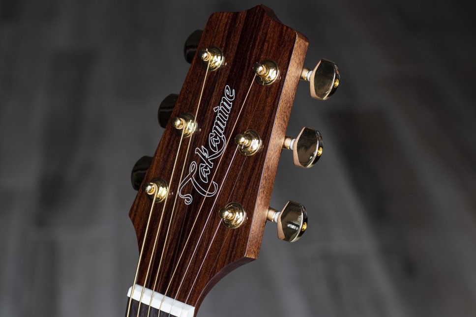 Takamine G Selected Series