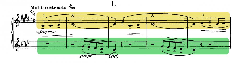 Béla Bartók: il linguaggio musicale