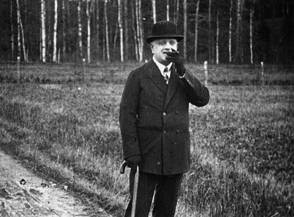 La foresta sinfonica in Sibelius