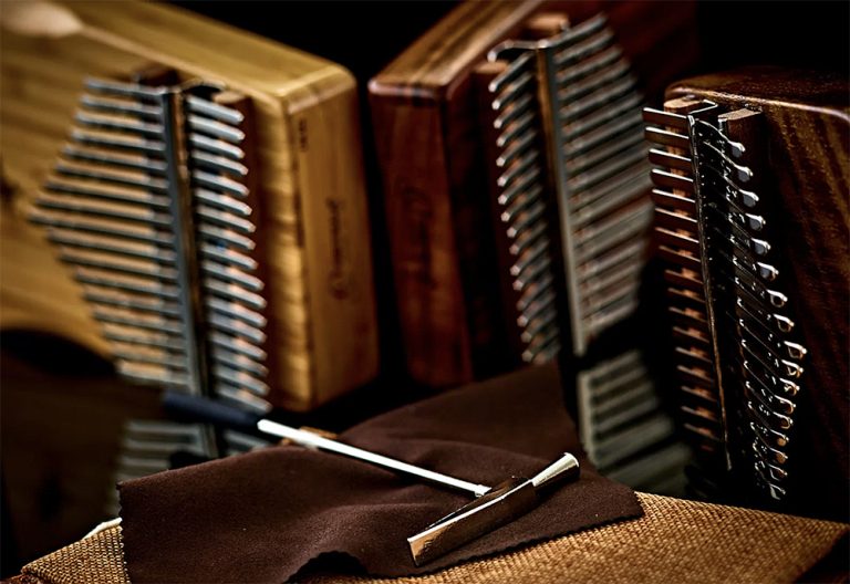 Custodia Per Chitarra Classica Ortega - Vinile Nero, Imbottitura 15mm, Maniglia Robusta - Foto 2