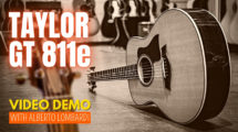 Taylor GT 811e