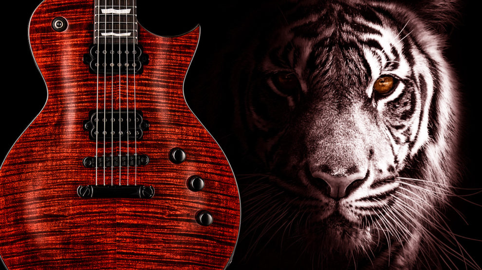 ltd ec-1001 tiger eye