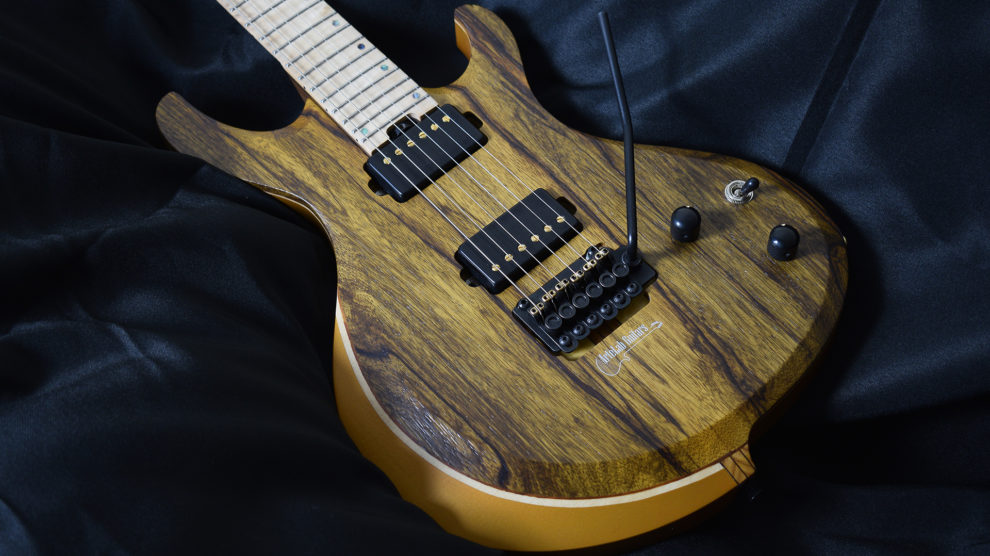 artelab guitars