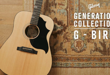 Gibson G-Bird