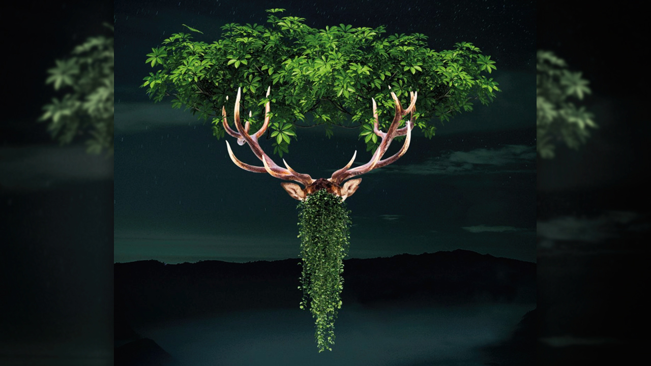 3 recensioni dischi di nicchia