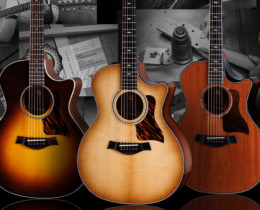 taylor 50th anniversary collection