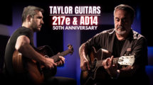 Taylor ad14 e 217e 50th anniversary