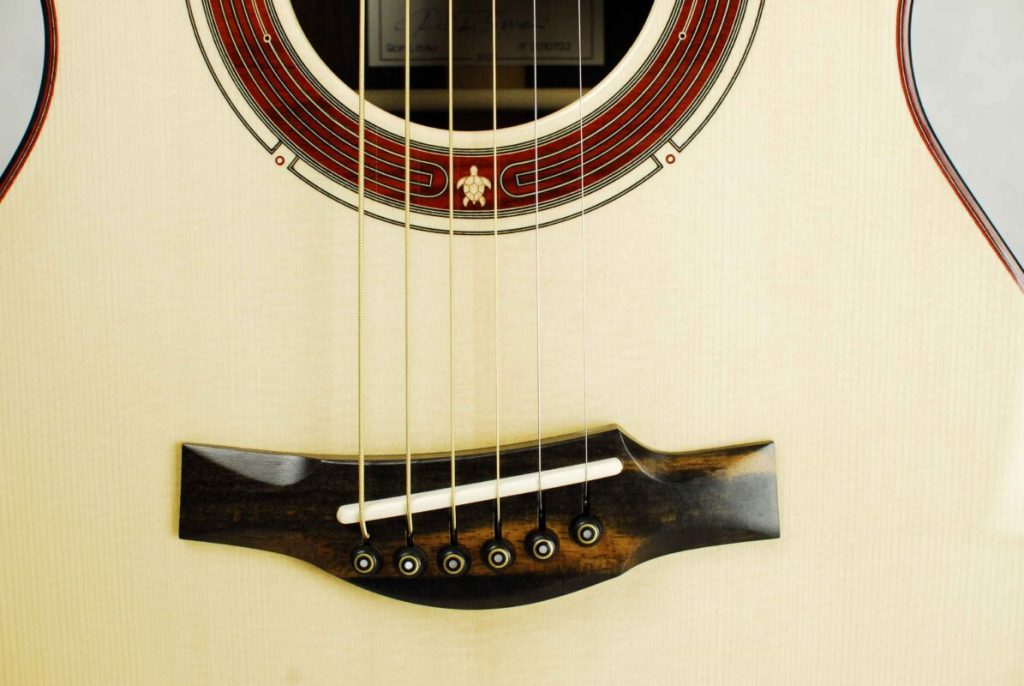 Davide Serracini liutaio