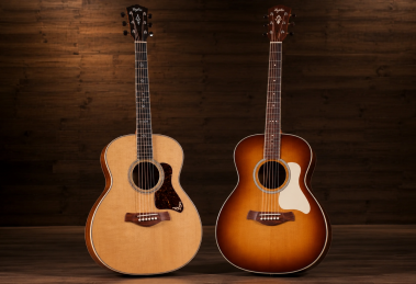 taylor gold label
