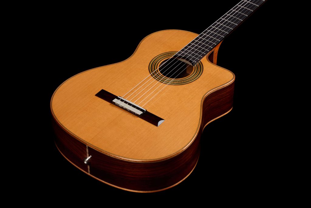Córdoba Fusion Orchestra CE Pro