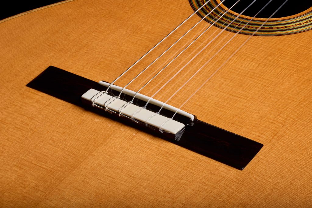 Córdoba Fusion Orchestra CE Pro